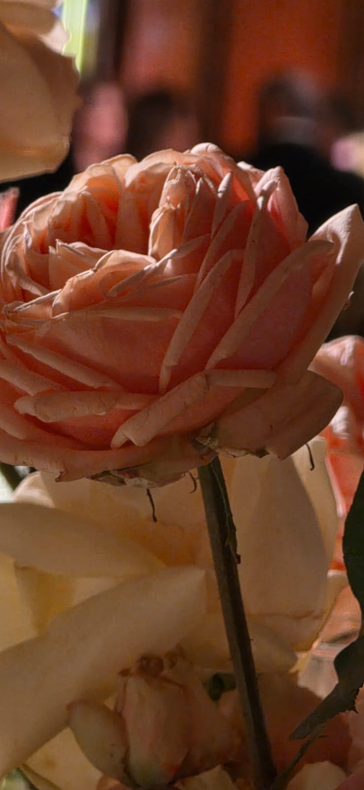 Fleur